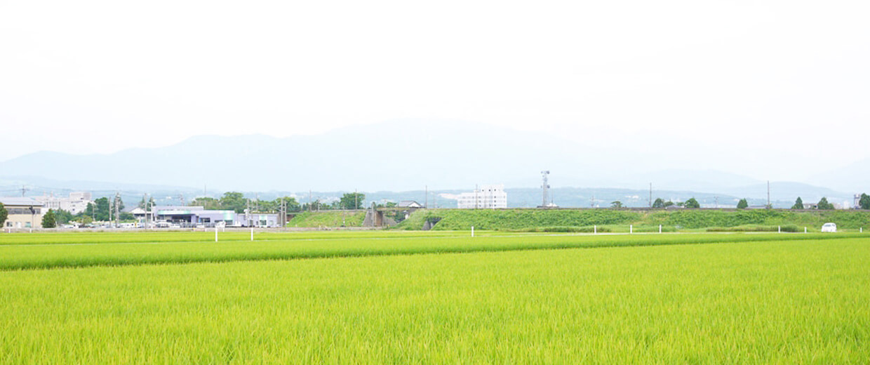 富山 黒部の専業米農家〈無農薬米・減農薬米〉濱田ファームの様子