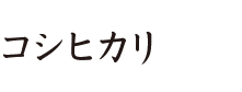 こだわり栽培コシヒカリ 富山のお米